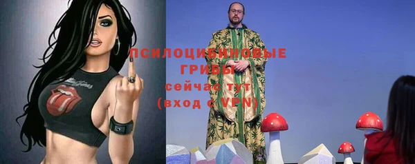 ALPHA PVP Алексеевка