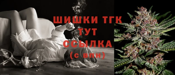 тгк Елабуга